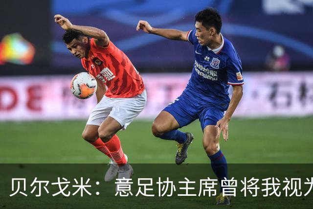 贝尔戈米：意足协主席曾将我视为备选方案，但首选一直是马尔蒂尼