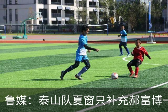 鲁媒：泰山队夏窗只补充郝富博一人 韩鹏参加学习班在间歇期