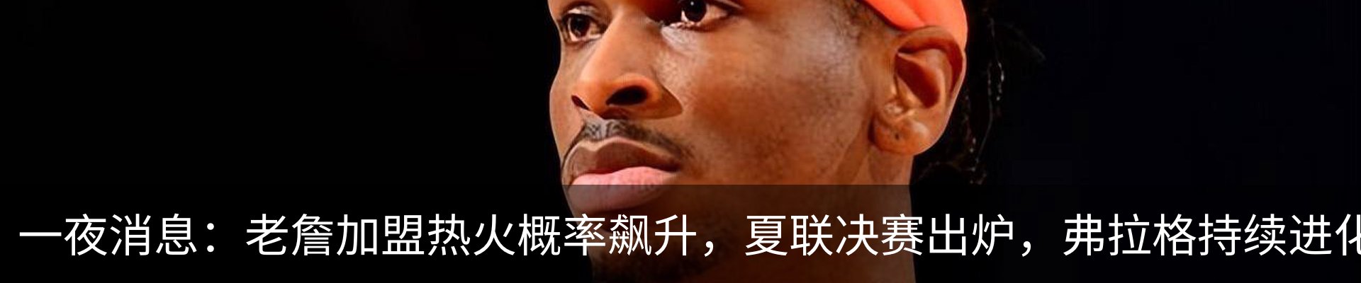 最新动态