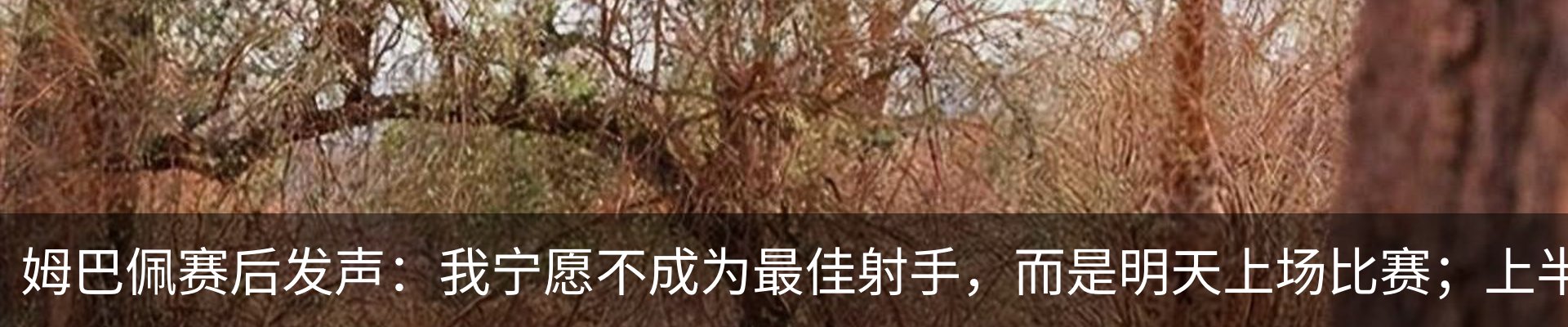 最新动态