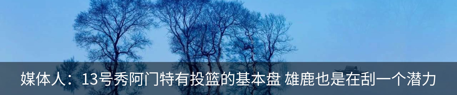 最新动态