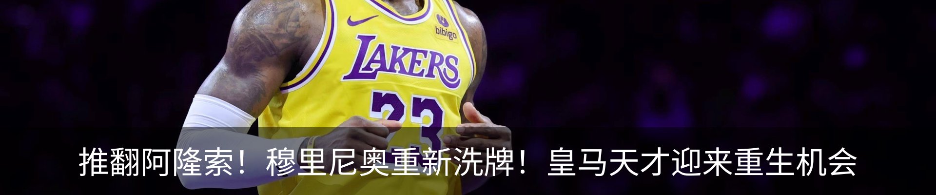最新动态